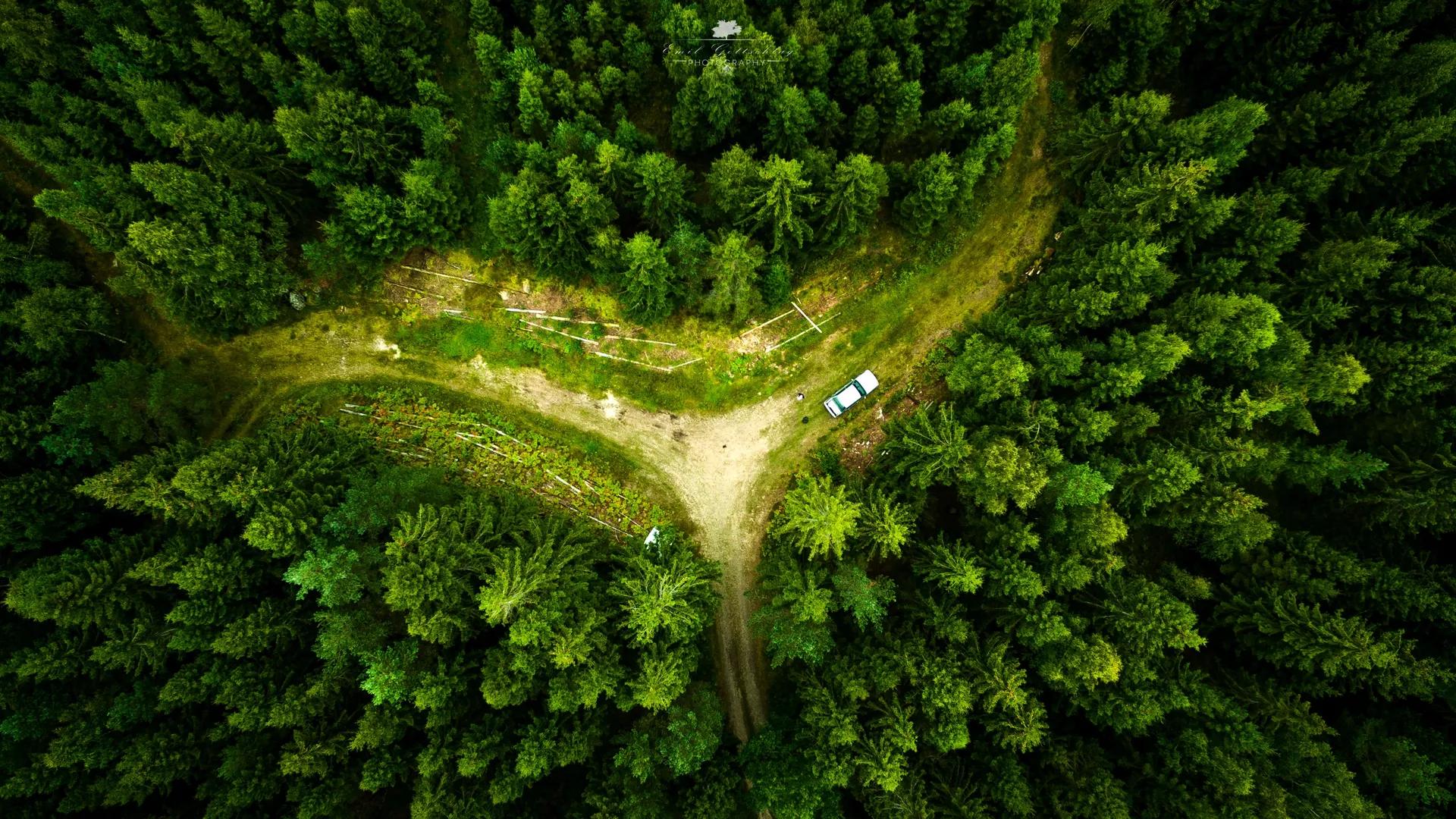 无人机 风景 自然 鸟瞰 森林 绿色 电脑壁纸 4K壁纸