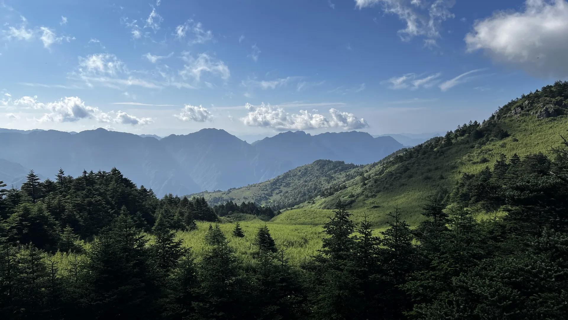 自然 山 云 树 电脑壁纸 4K壁纸