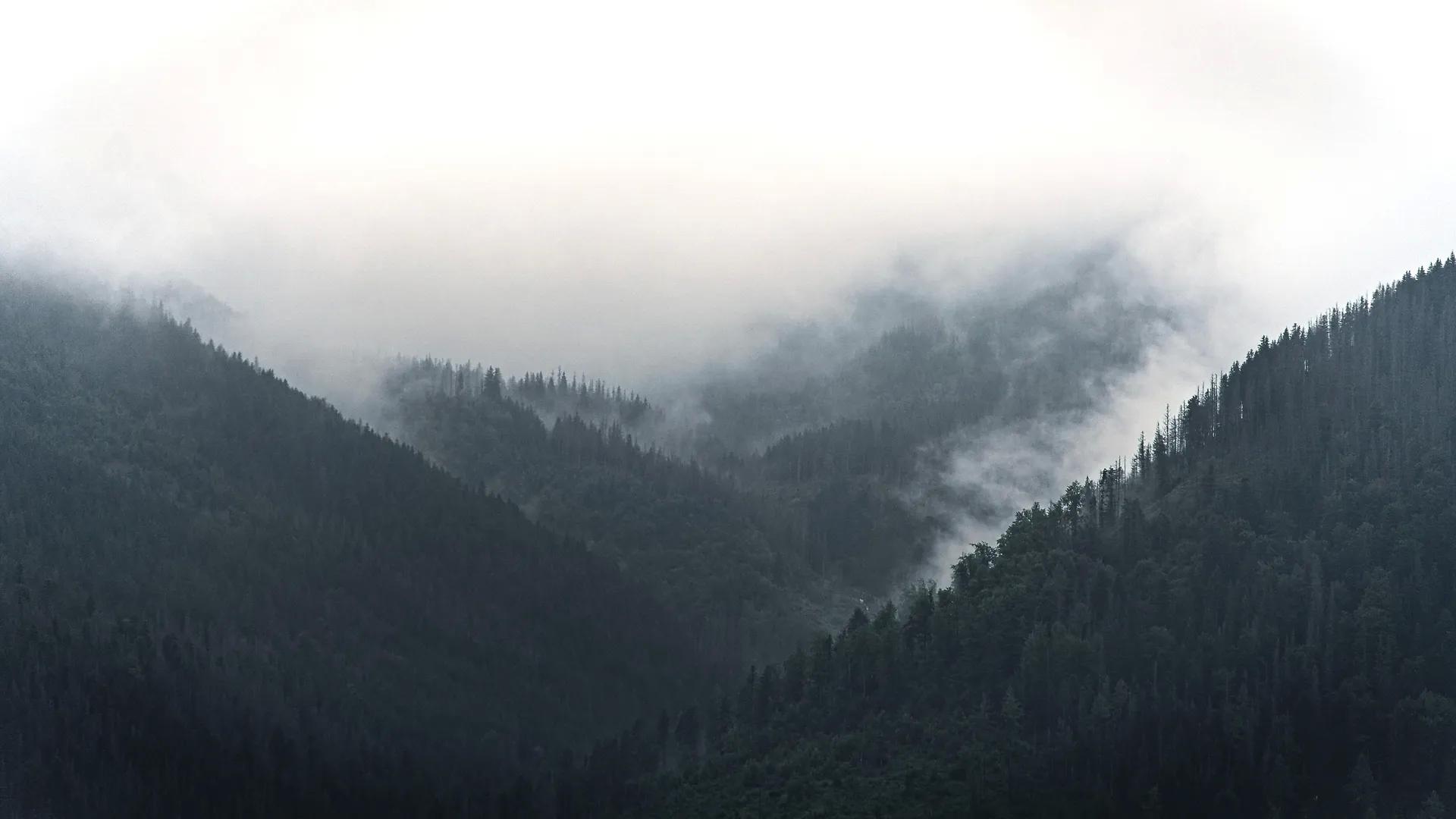 山 雾 自然 摄影