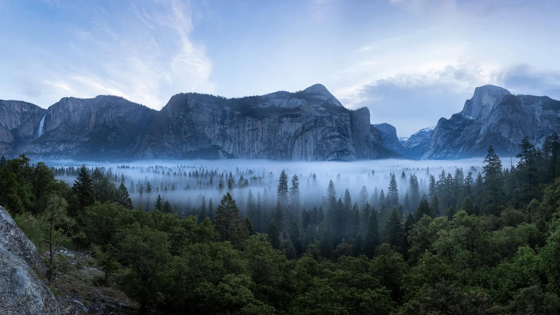 自然 风景 摄影 北美 约塞米蒂山谷 加利福尼亚州 山脉 宽屏 森林 电脑壁纸 8K壁纸