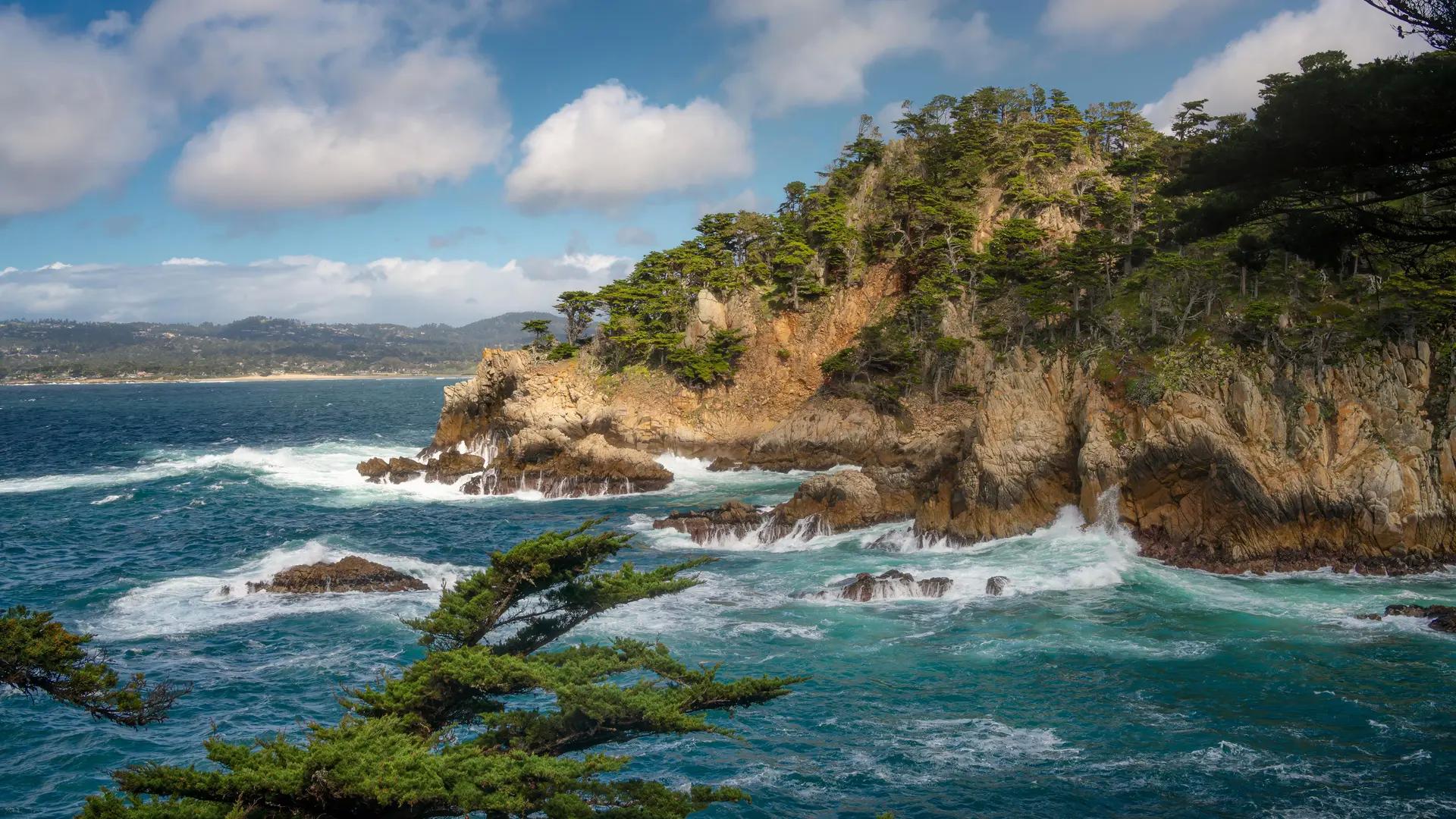 风景 海岸 悬崖 海 森林 柏树 云 自然 电脑壁纸 4K壁纸