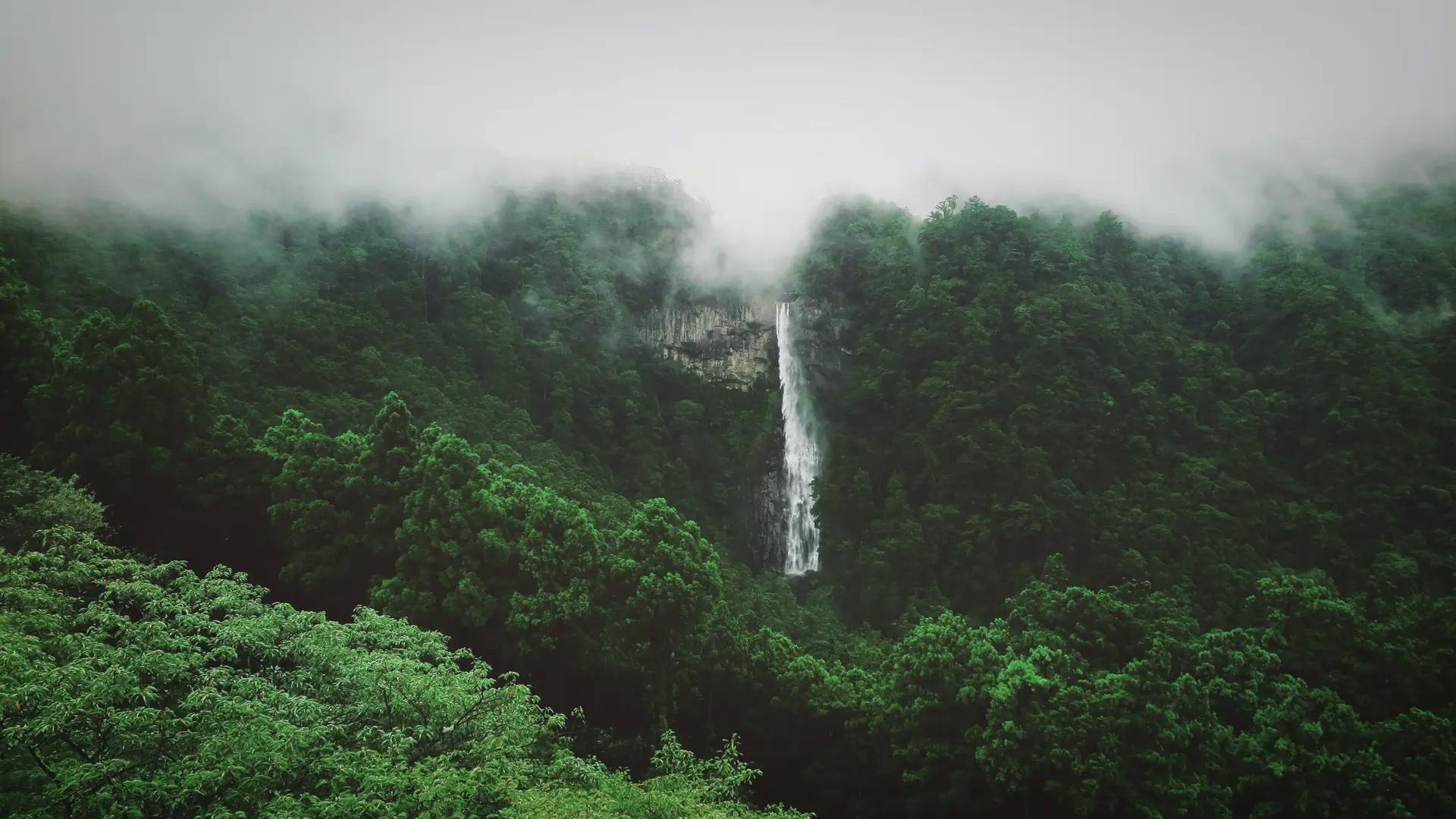 森林 风景 瀑布 薄雾  电脑壁纸 4K壁纸