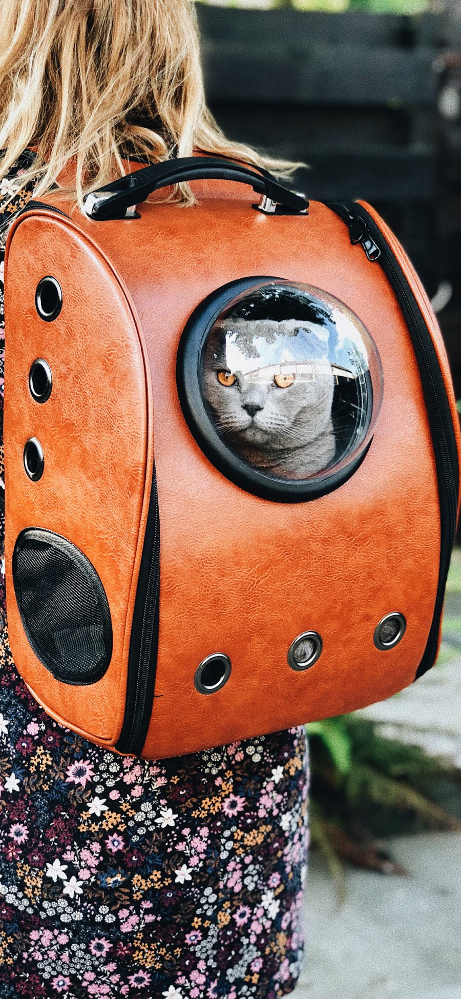 [2436×1125]猫咪 太空舱 背包 透视 苹果手机壁纸图片