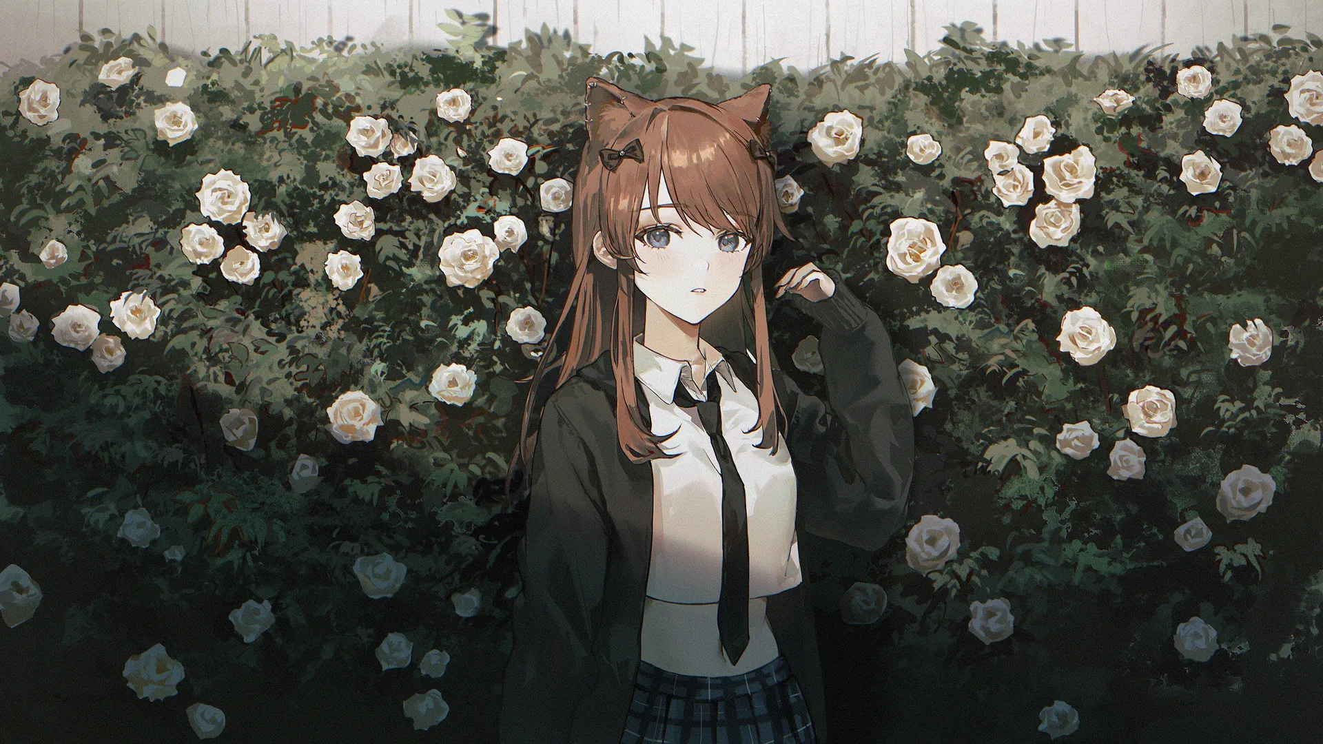 猫女孩白玫瑰裙，自然卡哇伊鲜花绽放