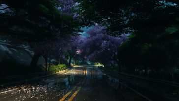 雨夜樱花飘落动态壁纸：云雾缭绕的无限风光道路夜景
